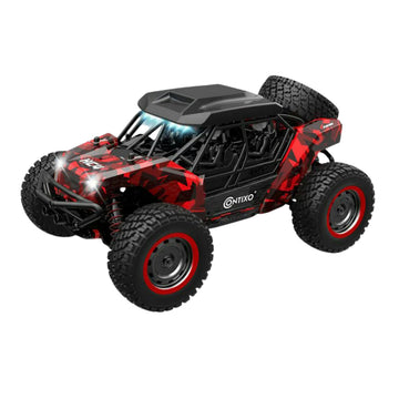 Remote Control Car - 16101 High-Speed Buggy - 50 km/h